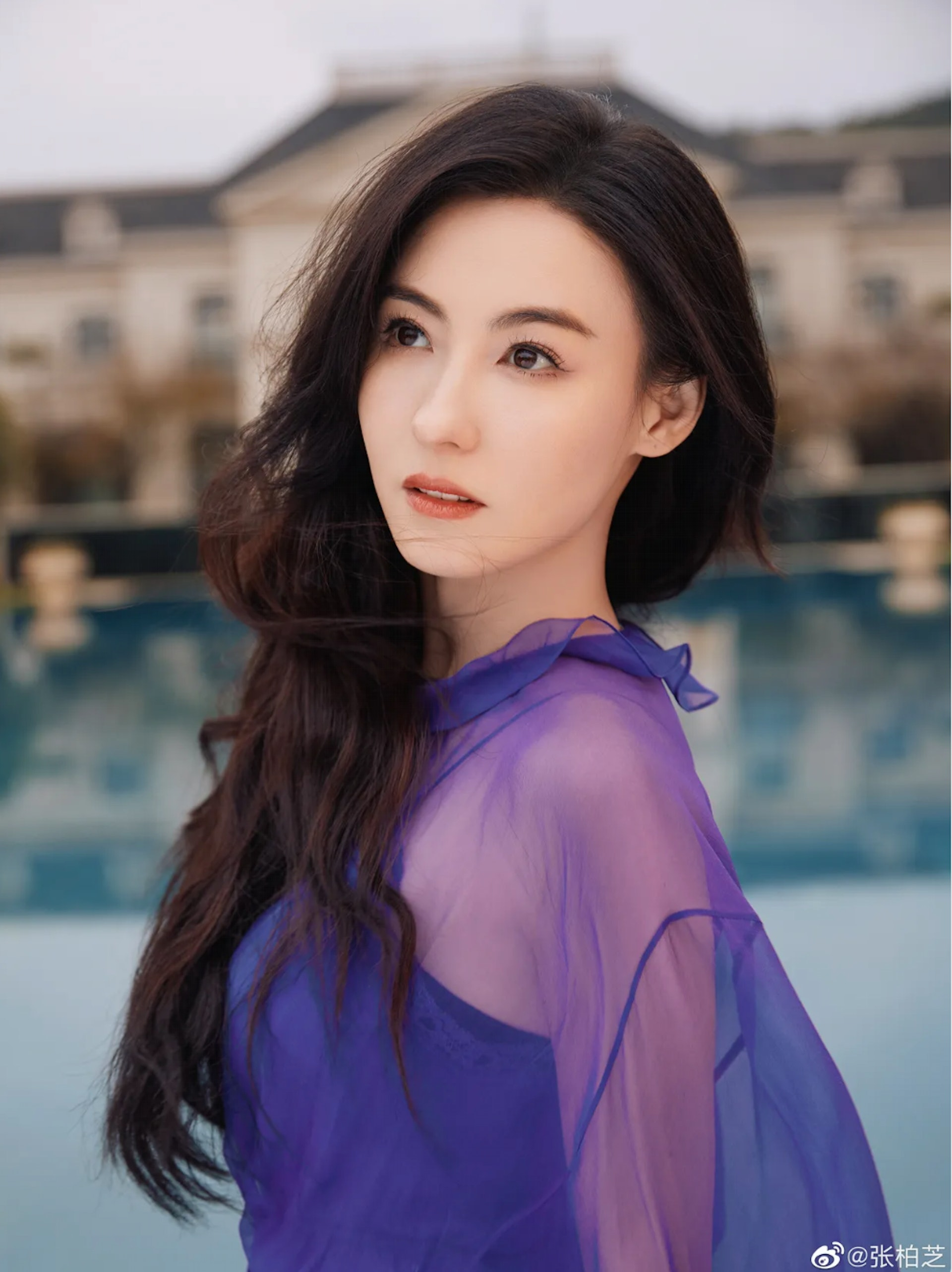 Qu&aacute; tiếc cho Trương B&aacute; Chi- Ảnh 3.