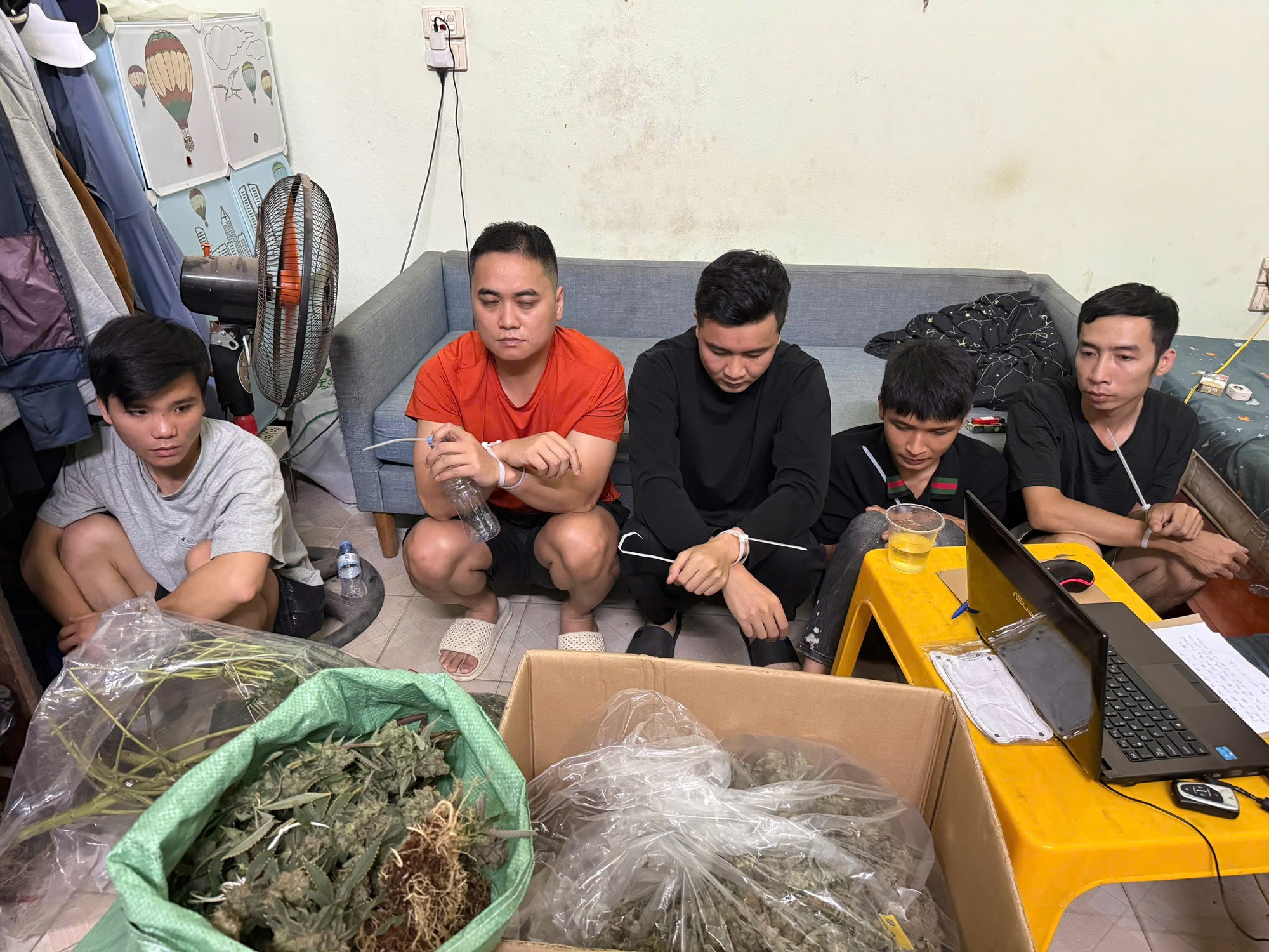 Bí mật những căn nhà thuê luôn đóng kín cửa, bên trong lắp cả hệ thống đặc biệt: Công an phát hiện loạt cây được chăm sóc đặc biệt- Ảnh 1.