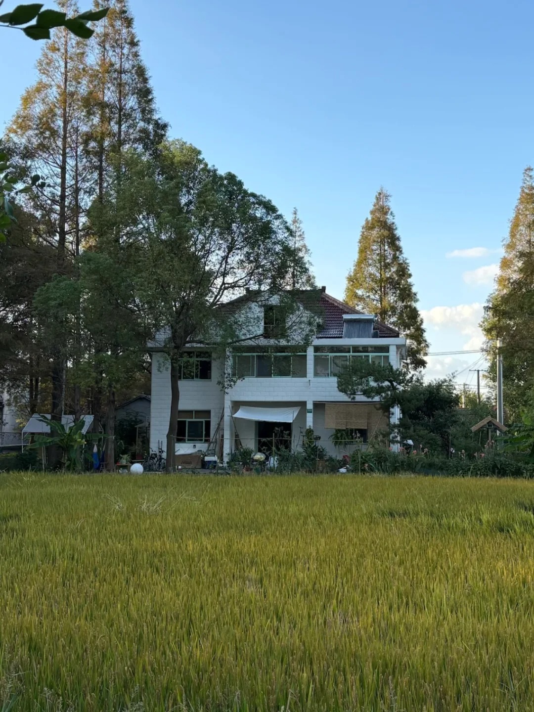 Chuyển ra ngoại th&agrave;nh thu&ecirc; nh&agrave; 10 năm: Vợ chồng tiết kiệm 116 triệu/ năm, ăn rau sạch tự trồng, v&agrave;o th&agrave;nh phố chỉ mất 10 ph&uacute;t- Ảnh 4.
