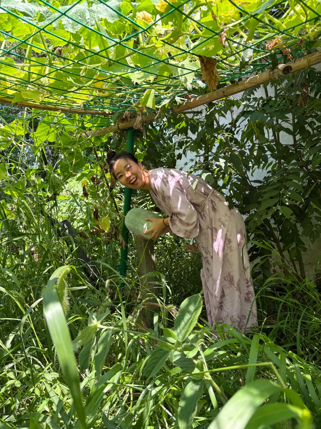 Chuyển ra ngoại th&agrave;nh thu&ecirc; nh&agrave; 10 năm: Vợ chồng tiết kiệm 116 triệu/ năm, ăn rau sạch tự trồng, v&agrave;o th&agrave;nh phố chỉ mất 10 ph&uacute;t- Ảnh 5.