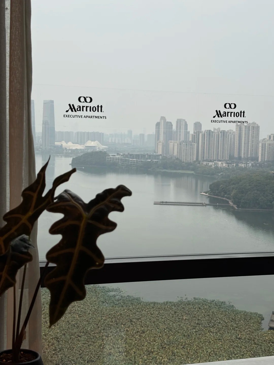 Thanh ni&ecirc;n thu&ecirc; kh&aacute;ch sạn Marriott ở suốt 4 năm để được bao điện nước, miễn ph&iacute; bữa s&aacute;ng v&agrave; đi tập gym cho gần- Ảnh 2.