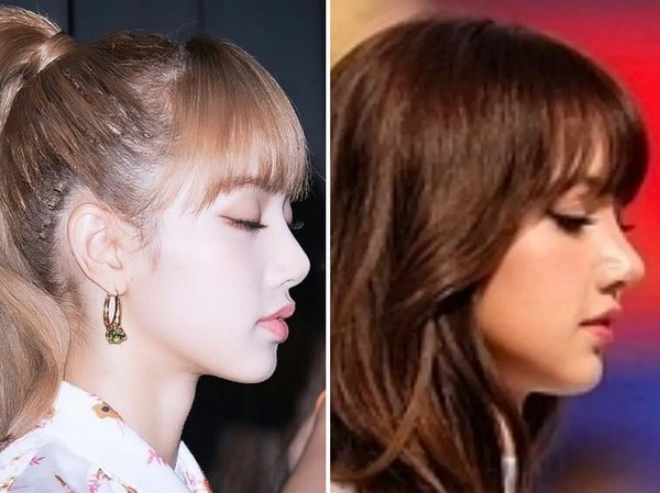 C&ograve;n ch&ecirc; Lisa n&acirc;ng mũi hỏng nữa kh&ocirc;ng?- Ảnh 5.