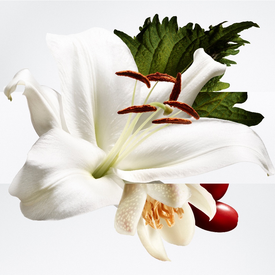 Bar&eacute;nia Pleine Fleur: Một h&igrave;nh dung mới về người phụ nữ Herm&egrave;s - Ảnh 2.