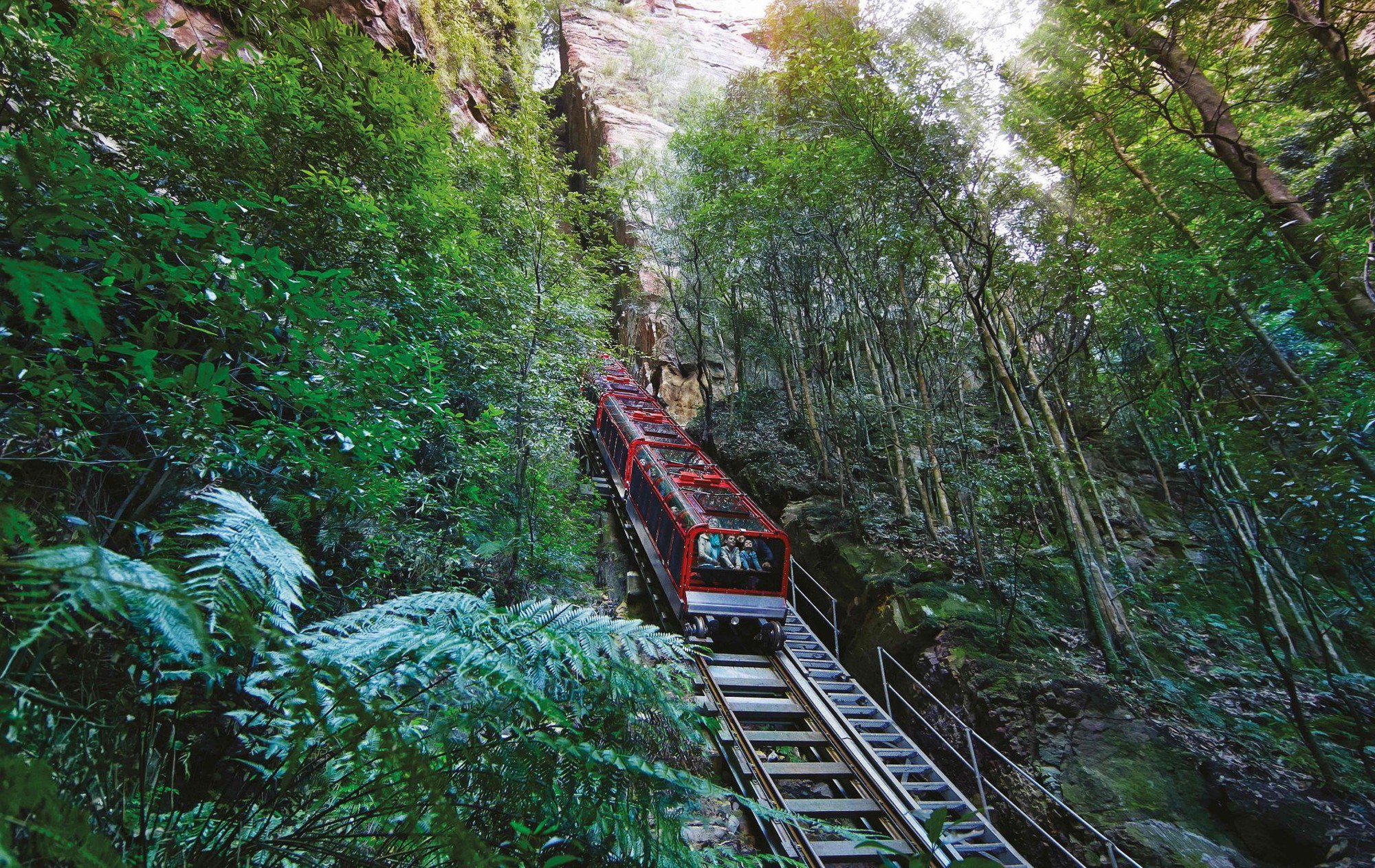 Đi Úc mà chỉ ở Sydney thì phí, khám phá ngay 3 vùng đất đẹp “nín thở” tại New South Wales - Ảnh 3.