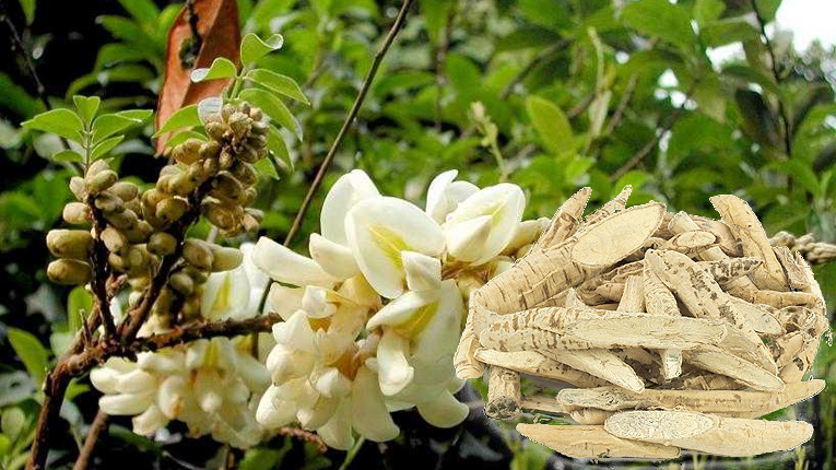 D&ugrave; bị can ngăn, anh n&ocirc;ng d&acirc;n quyết trồng loại củ ở độ s&acirc;u 20cm: 5 năm sau "b&aacute;u vật tiền tỷ" xuất hiện - Ảnh 2.