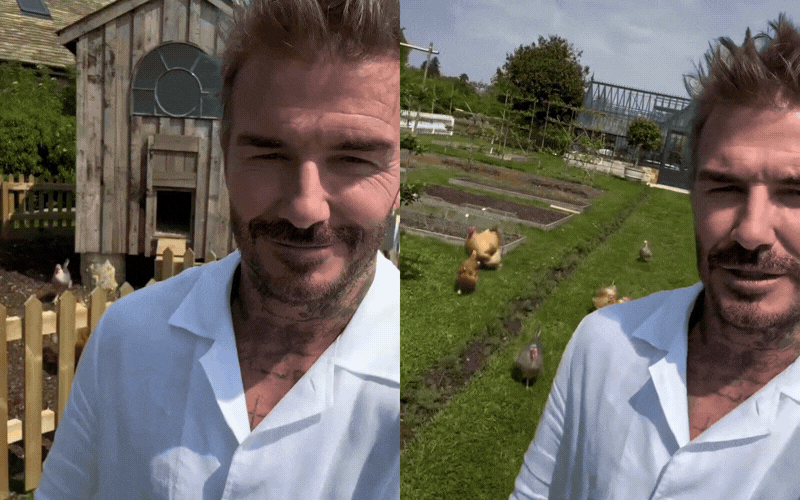 Đ&agrave;n g&agrave; của David Beckham- Ảnh 1.