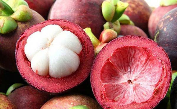 Người lớn tuổi nên ưu tiên những loại trái cây nào trong thực đơn hằng ngày? - Ảnh 5.