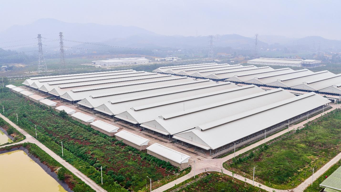 5 v&ograve;ng check var gi&uacute;p bạn ph&acirc;n biệt b&ograve; cao cấp chuẩn xịn - Ảnh 1.