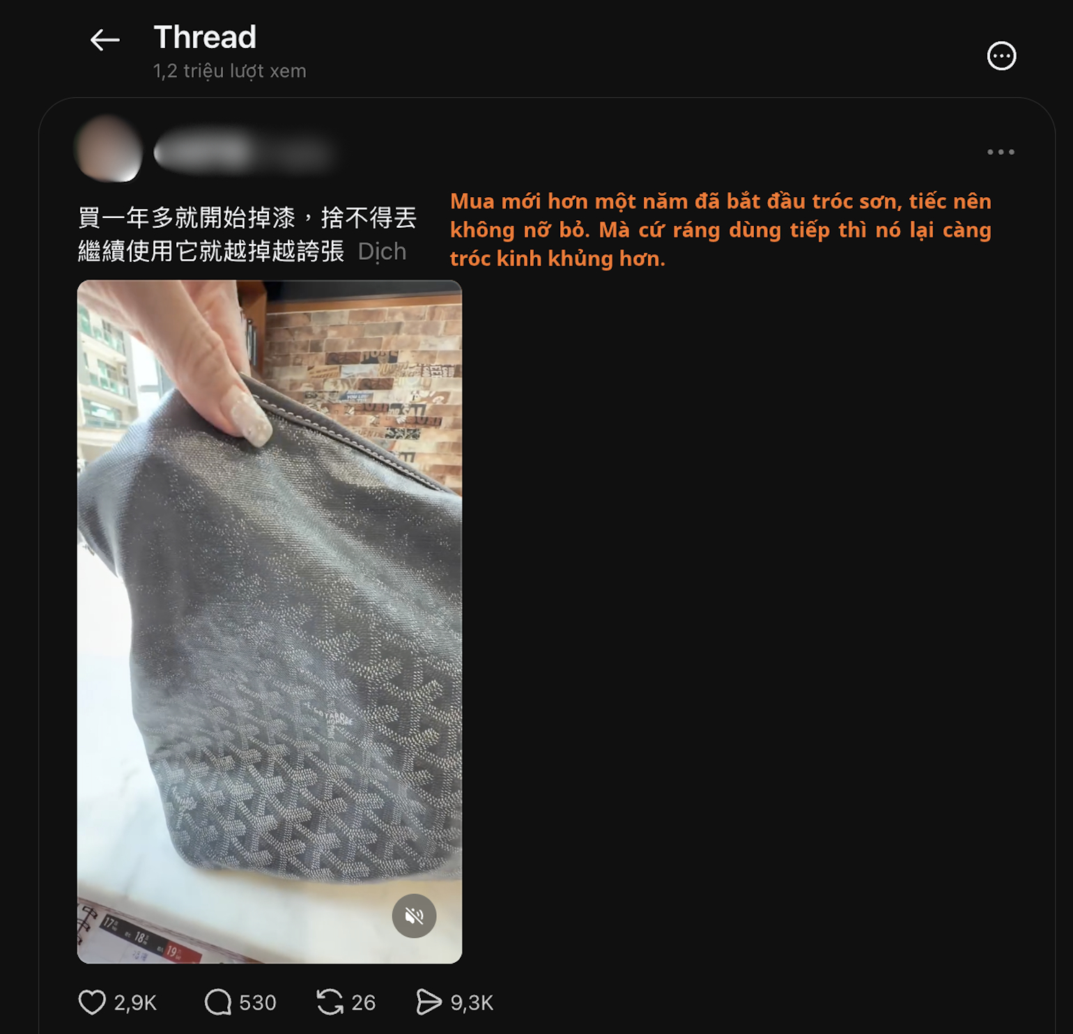T&uacute;i Goyard 60 triệu tr&oacute;c sơn nham nhở như h&agrave;ng chợ, người d&ugrave;ng khuy&ecirc;n nhau n&eacute; gấp: "Cứu được ai th&igrave; cứu!"- Ảnh 1.