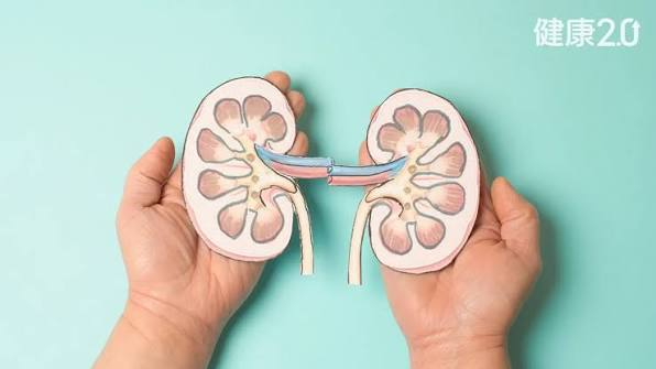 Cô ấy bị bệnh thận do ăn nhiều 2 loại thực phẩm, bác sĩ cảnh báo: Hãy tránh 5 loại thực phẩm gây viêm này!- Ảnh 3.