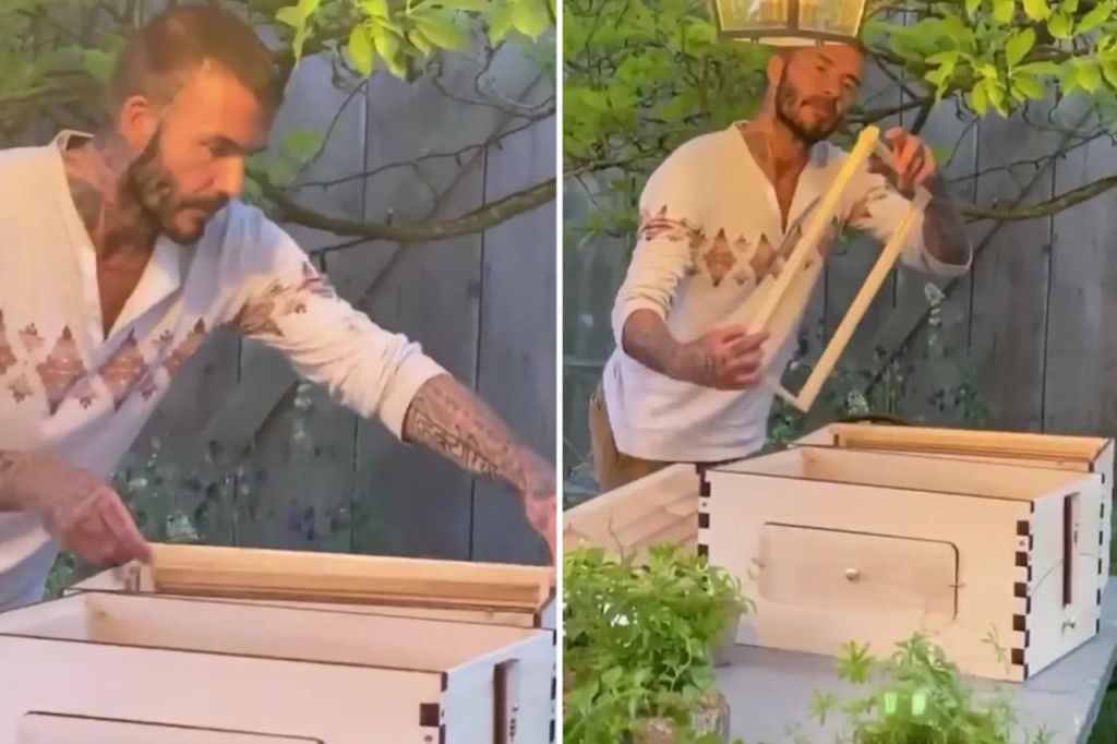 To&agrave;n cảnh khu đất 100.000m2 l&agrave; trang trại nu&ocirc;i g&agrave; của David Beckham - Ảnh 13.