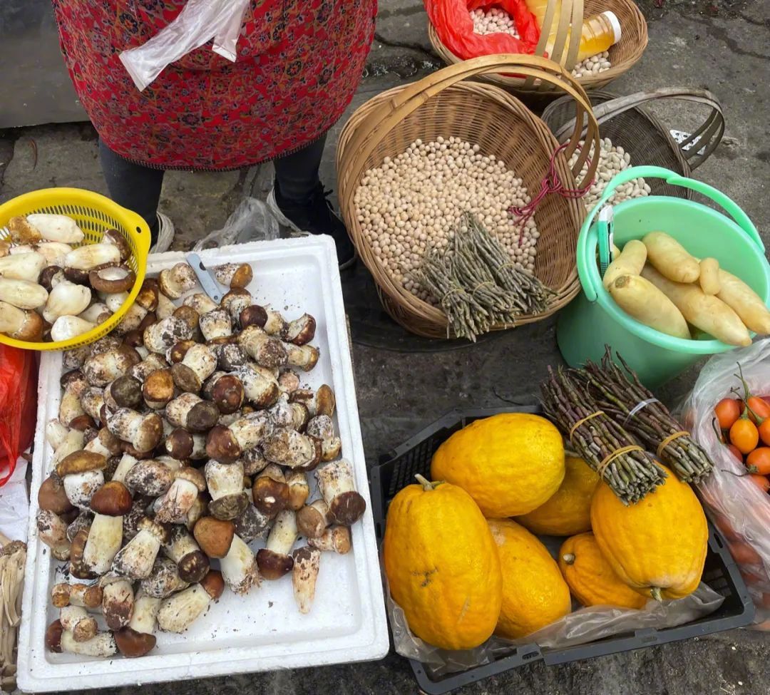 Người đàn ông Bắc Kinh bỏ gần 20 tỷ xây nhà dưỡng già cho bố mẹ: Thuê đất 30 năm, đổi lại một tuổi già hoàn toàn khác - Ảnh 18.