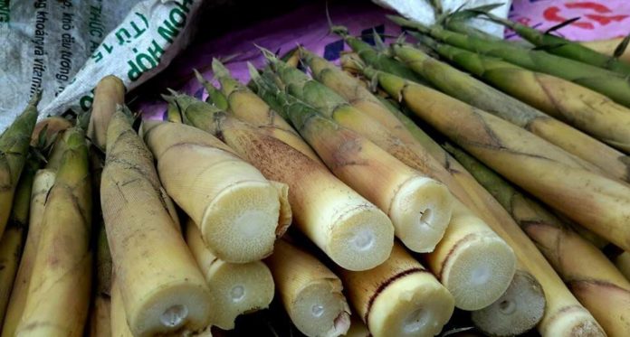 V&igrave; sao n&ecirc;n ăn c&aacute;c loại rau c&oacute; vị đắng v&agrave;o m&ugrave;a thu? - Ảnh 4.