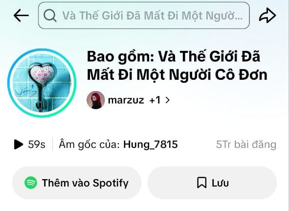 40 triệu lượt nghe cùng 1.3 người nghe hàng tháng mà sao nữ ca sĩ Việt này chưa nổi tiếng? - Ảnh 6.