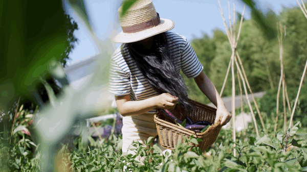 39 tuổi rời th&agrave;nh phố về qu&ecirc;, người phụ nữ tiết lộ mức chi ti&ecirc;u g&acirc;y bất ngờ: Muốn dư tiền, đ&ocirc;i khi kh&ocirc;ng cần kiếm th&ecirc;m- Ảnh 12.
