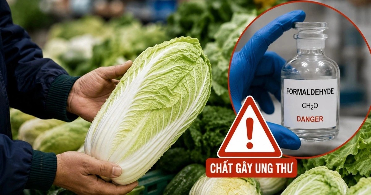 5 mẹo gi&uacute;p bạn dễ d&agrave;ng nhận biết cải thảo nhiễm formaldehyde- Ảnh 2.