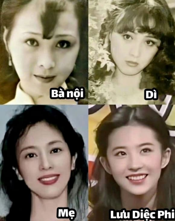 Có mẹ xinh đẹp cỡ này, bảo sao Lưu Diệc Phi là đại mỹ nhân!- Ảnh 8.