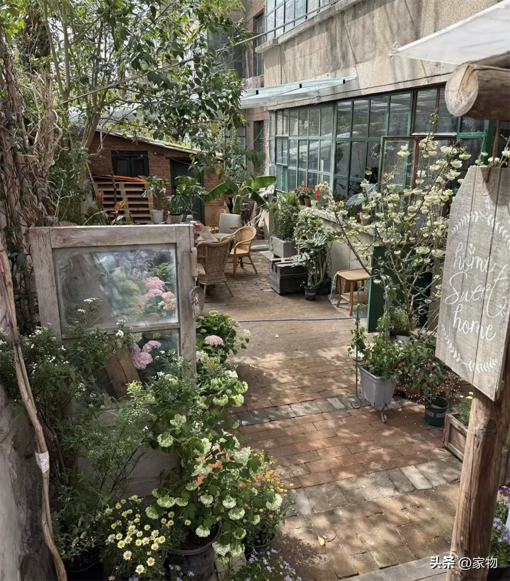 Bị ch&ecirc; v&igrave; mua căn hộ tầng trệt xuống cấp, c&ocirc; g&aacute;i cải tạo ng&acirc;n s&aacute;ch thấp v&agrave; nhận lại một ng&ocirc;i nh&agrave; ai cũng m&ecirc;- Ảnh 2.