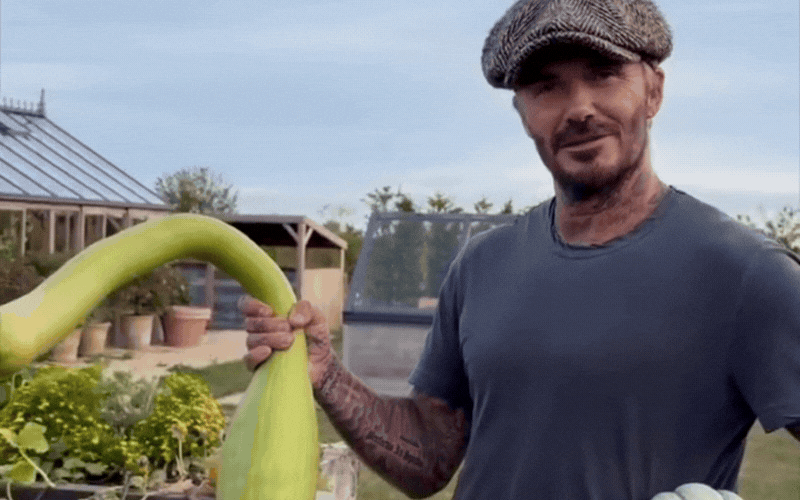 David Beckham hào hứng khoe "thành quả" làm vườn tại nhà, Victoria Beckham tiết lộ một chi tiết thú vị về gia đình- Ảnh 2.