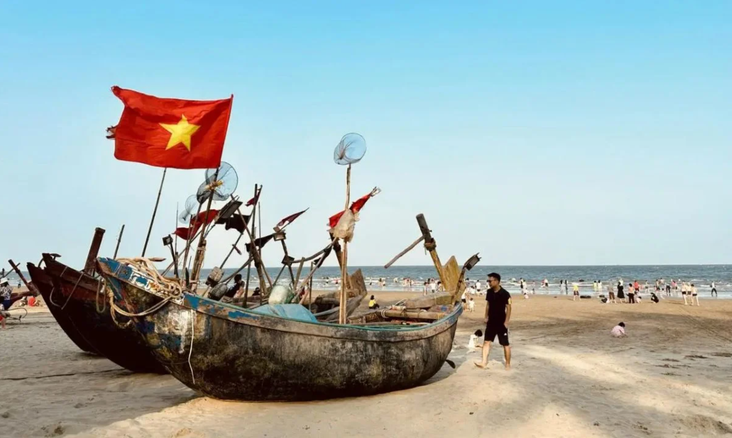 Ph&aacute;t hiện "con vật khổng lồ" tr&ecirc;n b&atilde;i biển Sầm Sơn đ&uacute;ng dịp 2/9, h&agrave;ng ngh&igrave;n du kh&aacute;ch ch&uacute; &yacute; - Ảnh 5.