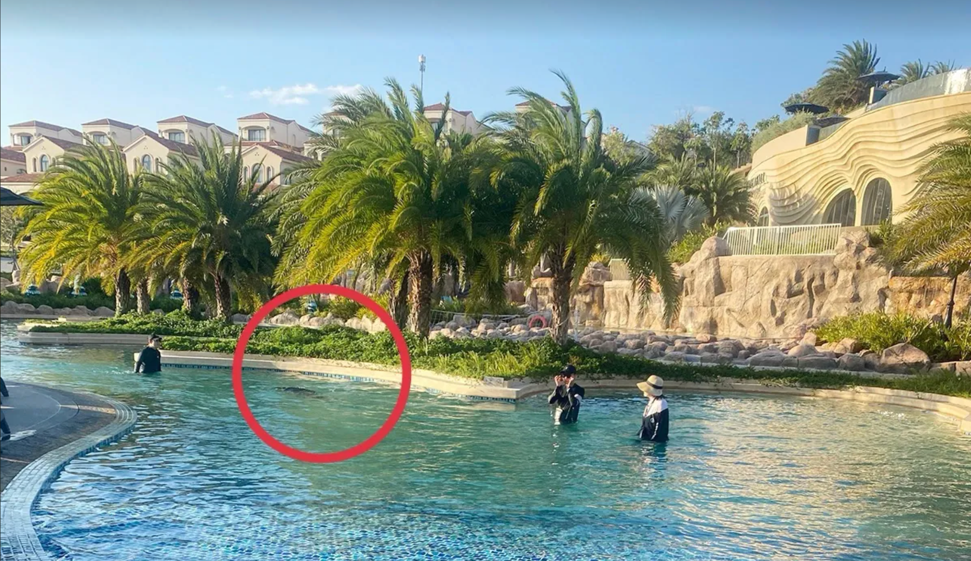 Vụ bé 11 tuổi người Nhật tử vong ở hồ bơi tại resort: Khởi tố bị can Nguyễn Quốc Quân SN 1961- Ảnh 1.