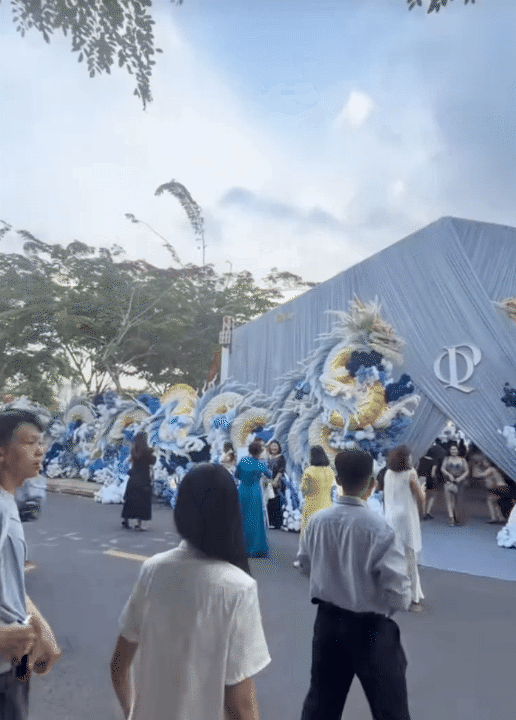 Thiếu gia tiệm vàng miền Tây cưới vợ: Chi vài trăm triệu dựng cổng cưới long - phụng dài 50m, bà con thi nhau đến check-in- Ảnh 1.