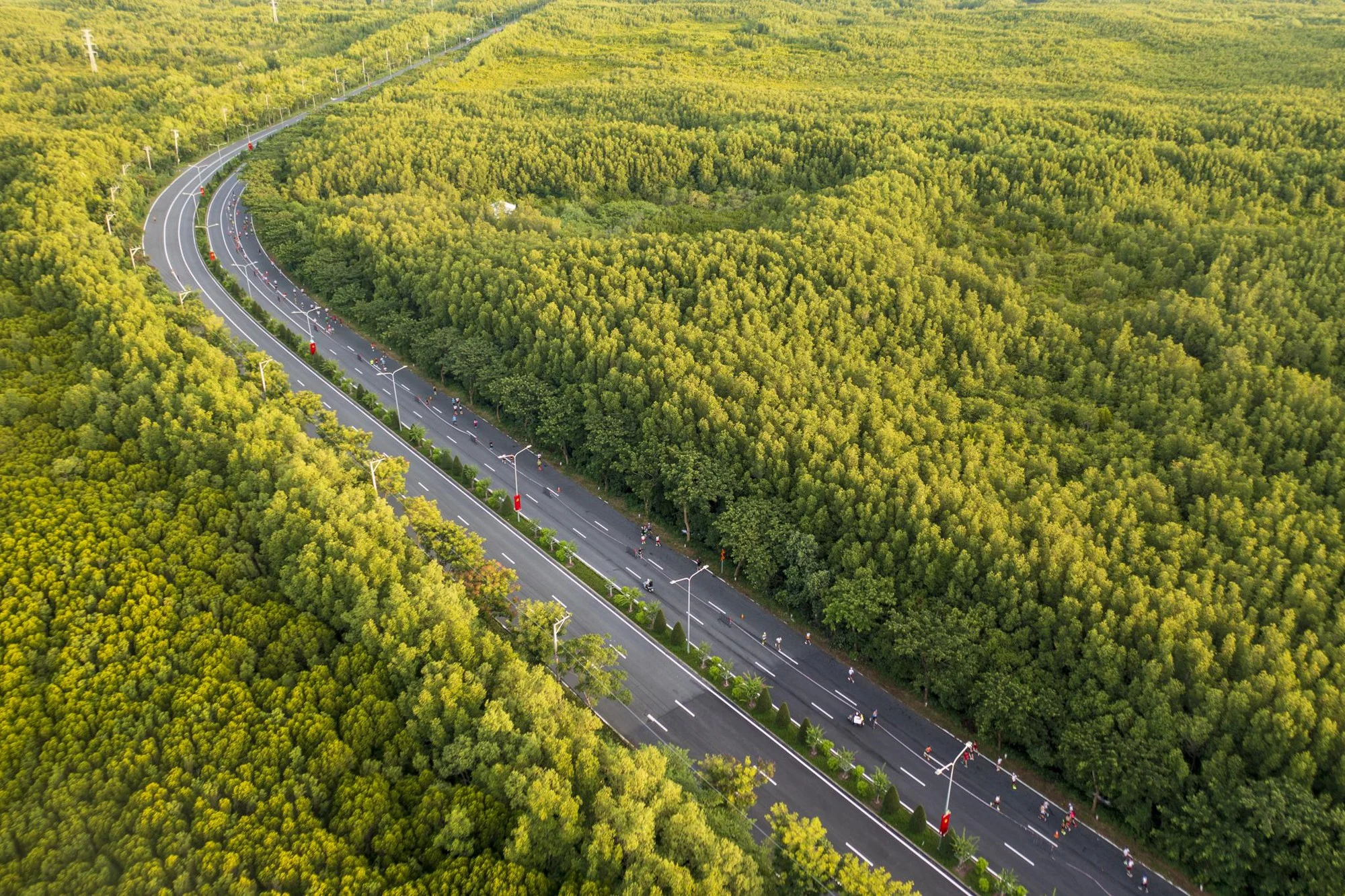 &Ocirc;ng Phạm Nhật Vượng đề xuất n&acirc;ng cấp 1 con đường hơn 35 km, xuy&ecirc;n rừng ngập mặn được UNESCO c&ocirc;ng nhận: Đầu tư 19.000 tỷ đồng, nối thẳng tới si&ecirc;u đ&ocirc; thị lấn biển của Nam Bộ- Ảnh 2.