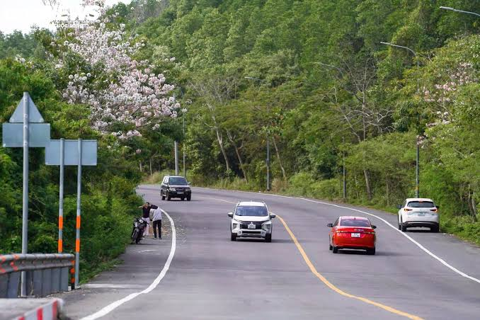 &Ocirc;ng Phạm Nhật Vượng đề xuất n&acirc;ng cấp 1 con đường hơn 35 km, xuy&ecirc;n rừng ngập mặn được UNESCO c&ocirc;ng nhận: Đầu tư 19.000 tỷ đồng, nối thẳng tới si&ecirc;u đ&ocirc; thị lấn biển của Nam Bộ- Ảnh 4.