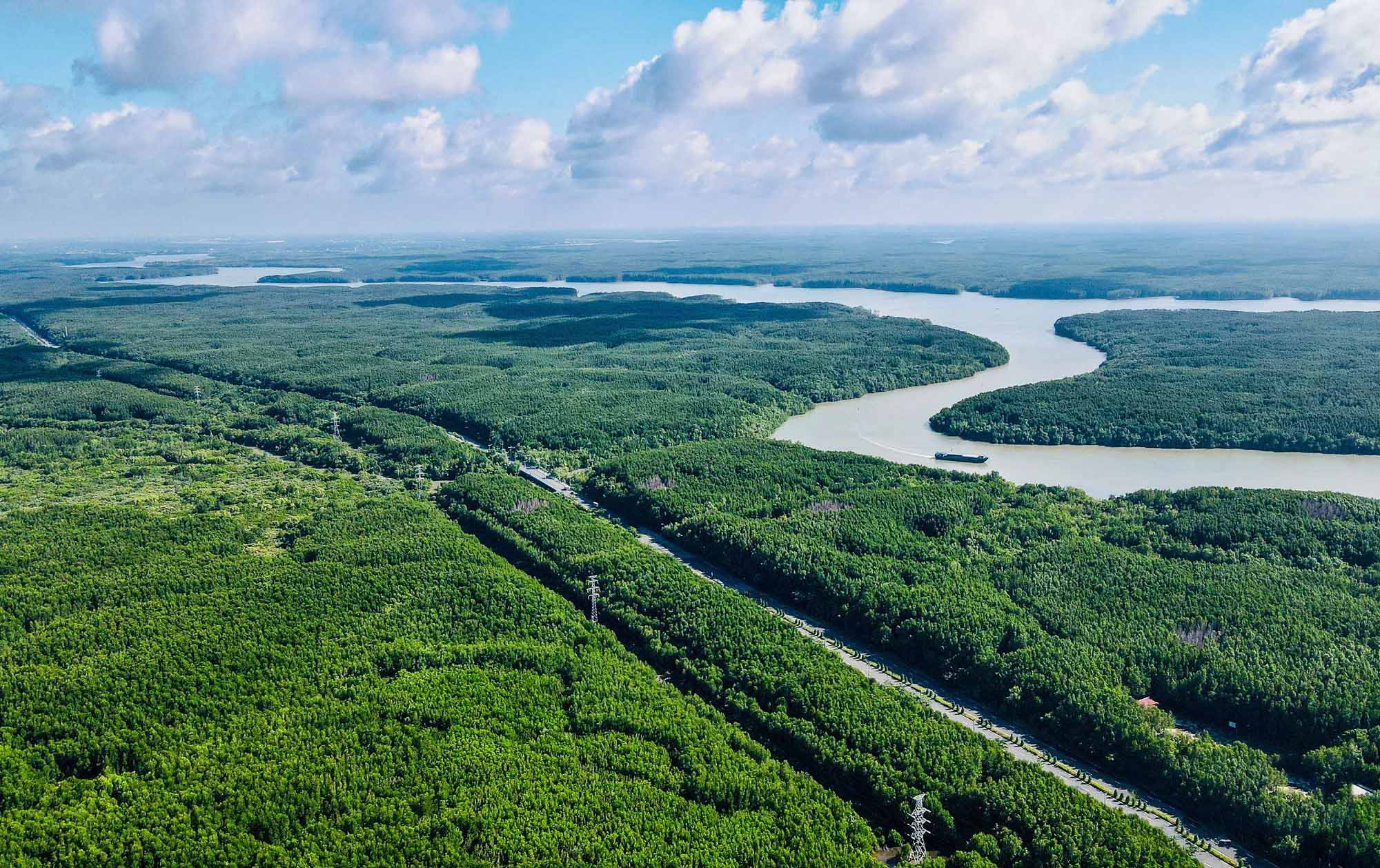 &Ocirc;ng Phạm Nhật Vượng đề xuất n&acirc;ng cấp 1 con đường hơn 35 km, xuy&ecirc;n rừng ngập mặn được UNESCO c&ocirc;ng nhận: Đầu tư 19.000 tỷ đồng, nối thẳng tới si&ecirc;u đ&ocirc; thị lấn biển của Nam Bộ- Ảnh 5.