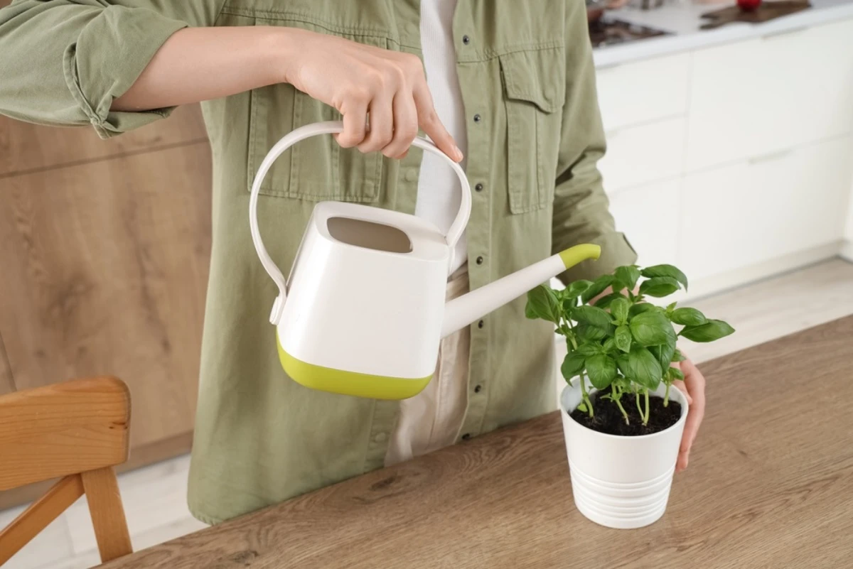 Mẹo thư gi&atilde;n trước giờ ngủ với h&uacute;ng quế gi&uacute;p cải thiện giấc ngủ hiệu quả - Ảnh 2.