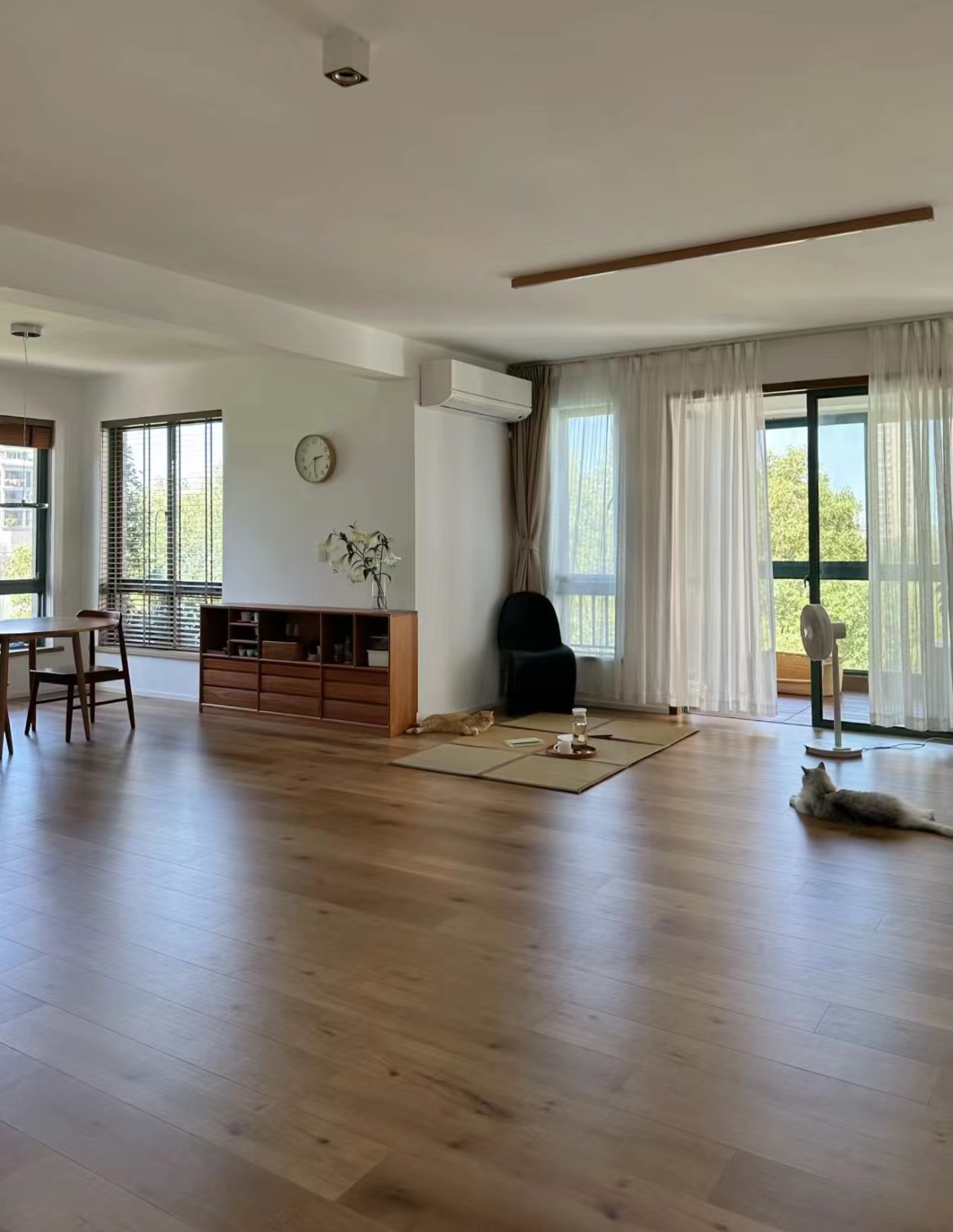 Xem 2 ng&ocirc;i nh&agrave; n&agrave;y mới hiểu v&igrave; sao ng&agrave;y c&agrave;ng nhiều người bỏ sofa, b&agrave;n tr&agrave; v&agrave; kệ tivi- Ảnh 1.