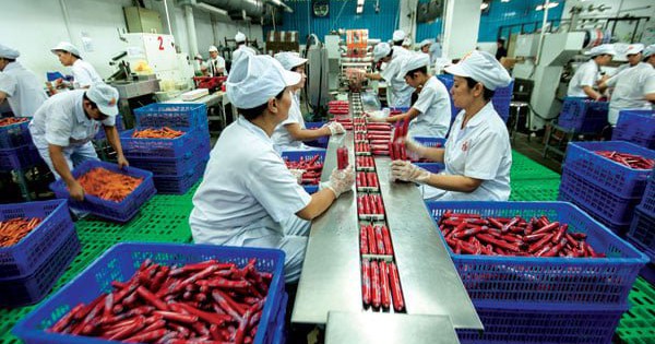 Một doanh nghiệp sắp chi hơn 1.500 tỷ đồng để di dời nhà máy khỏi TP.HCM - Ảnh 1.