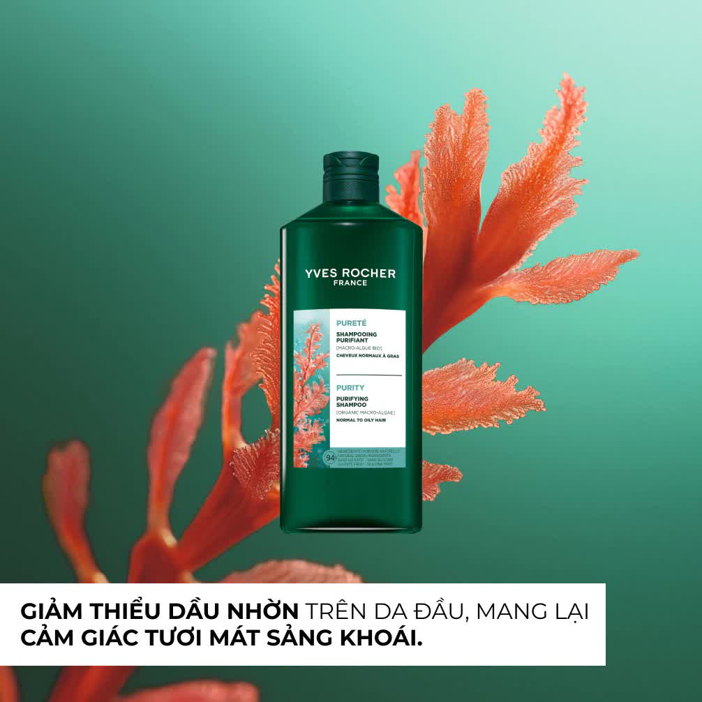 Tạm biệt tóc bết dầu mùa thu: 5 mẹo nhỏ giúp tóc luôn bồng bềnh, khô thoáng tự nhiên - Ảnh 5.
