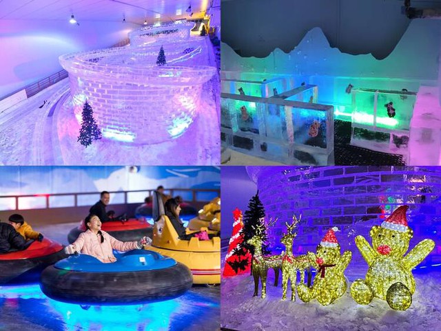 &Ocirc;ng Phạm Nhật Vượng tiếp tục cho x&acirc;y một khu vực đặc biệt tại nơi lạnh &acirc;m 4 độ C quanh năm: T&aacute;i hiện 1 v&ugrave;ng như Bắc &Acirc;u, c&oacute; tuyết, cực quang nh&acirc;n tạo, 1 rừng c&acirc;y nhập khẩu từ nước ngo&agrave;i- Ảnh 6.
