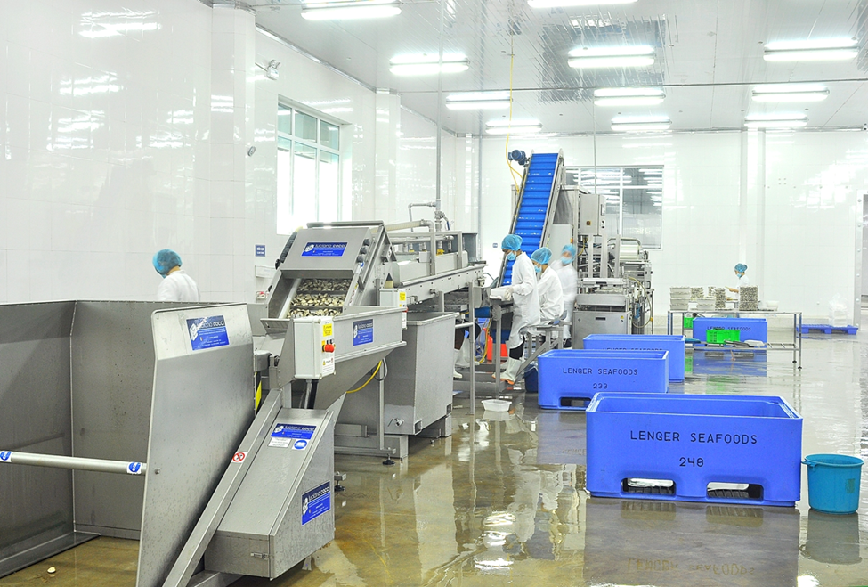 Tập đo&agrave;n H&agrave; Lan b&aacute;n nh&agrave; m&aacute;y chế biến ngh&ecirc;u doanh thu hơn 500 tỷ/năm, c&ocirc;ng suất 300 tấn/ng&agrave;y tại Ninh B&igrave;nh- Ảnh 2.