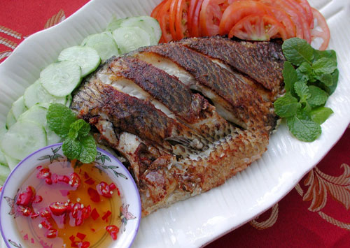 5 lời khuy&ecirc;n cho những gia đ&igrave;nh thường xuy&ecirc;n ăn c&aacute; r&ocirc; phi - Ảnh 1.