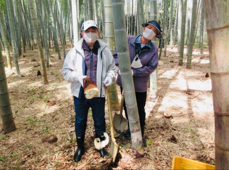 H&igrave;nh ảnh cũ của C&ocirc;ng ch&uacute;a Aiko bị "đ&agrave;o lại" - Ảnh 4.