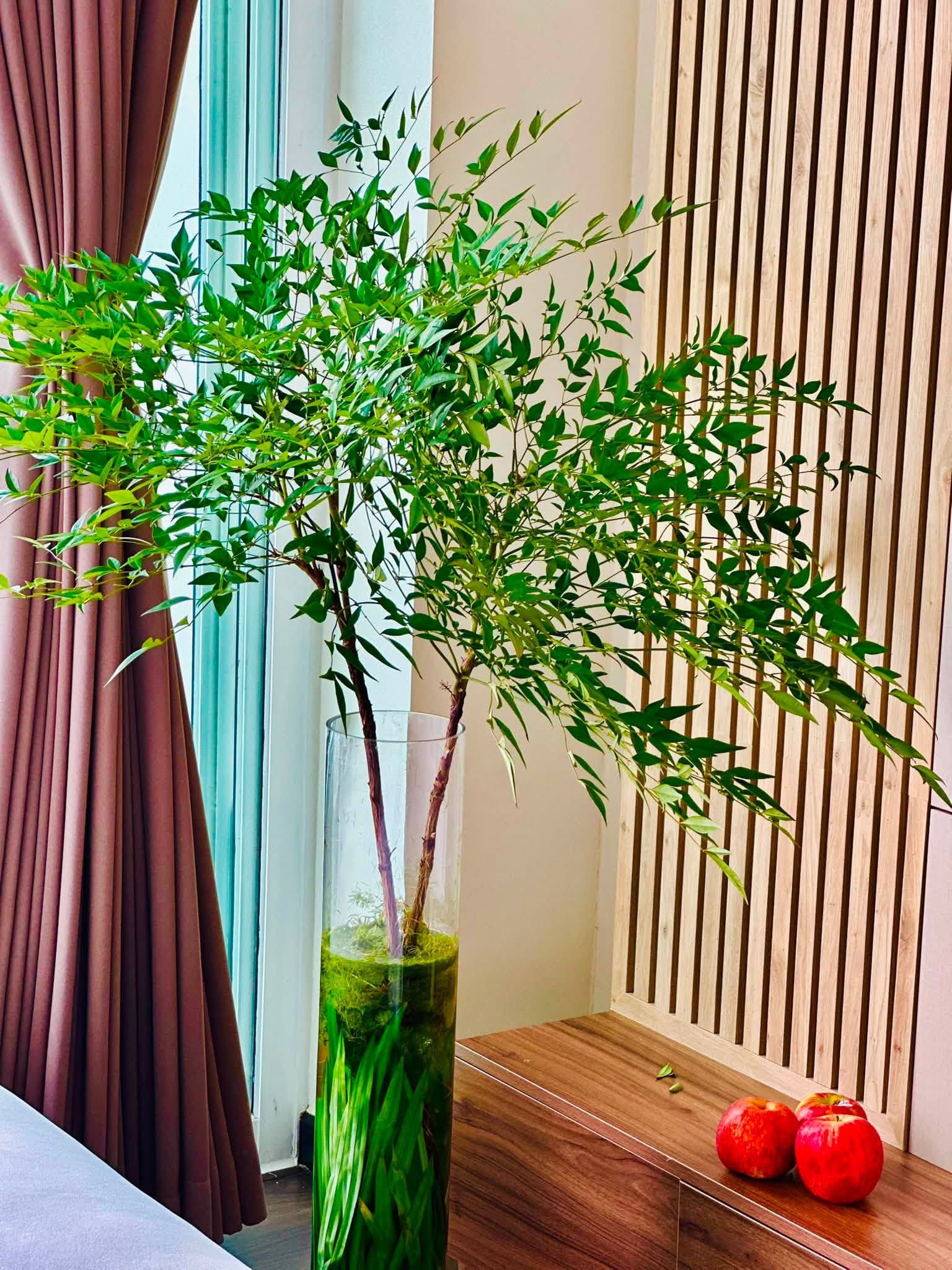 Mỹ nh&acirc;n Việt cưới chồng T&acirc;y hơn 8 tuổi, sống trong penthouse rộng 280m&sup2;, đẹp xịn từng centimet- Ảnh 9.
