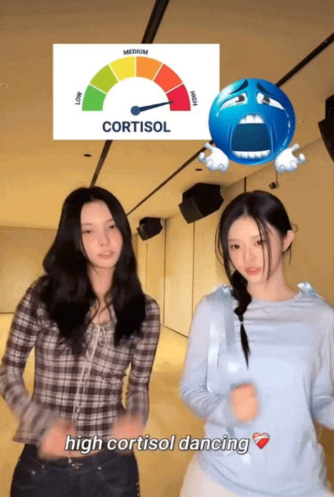 B&agrave;i h&aacute;t Việt hơn nửa tỷ view viral to&agrave;n cầu: Ca sĩ mất t&iacute;ch 6 năm được "hồi sinh", loạt sao quốc tế thi nhau lăng x&ecirc;- Ảnh 3.