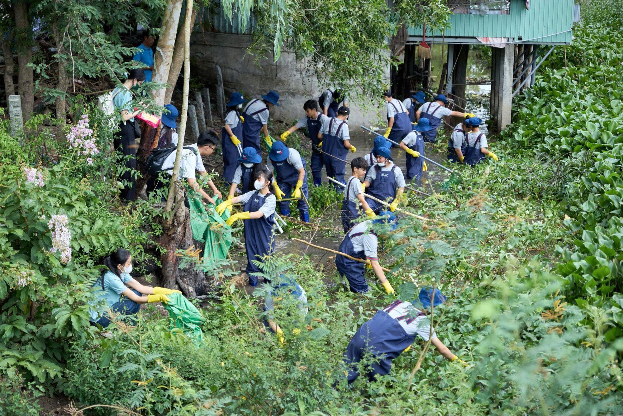 Học sinh An Giang thu gom 3,5 tấn rác thải và lục bình, làm sạch dòng kênh quê hương - Ảnh 2.
