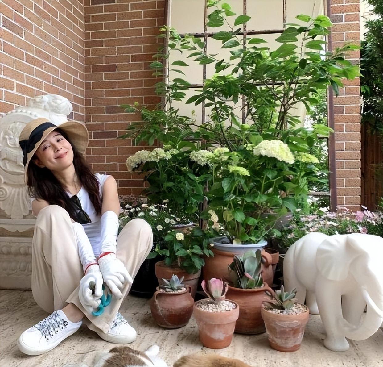 Nữ nghệ sĩ bỏ phố về quê: Đào đất, gieo hạt, bón phân, làm vườn như nông dân thực thụ - Ảnh 20.