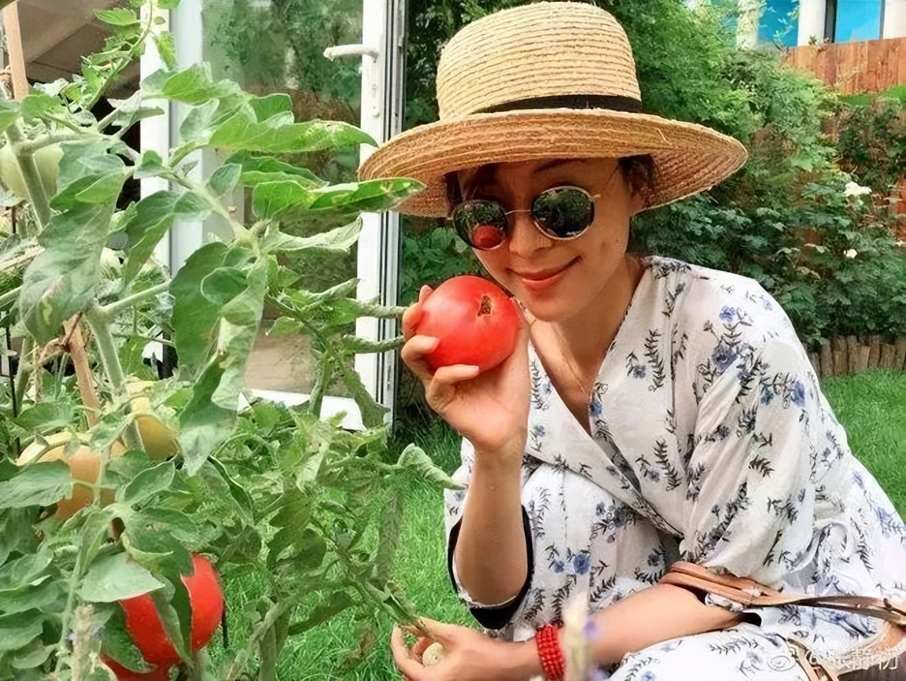 Nữ nghệ sĩ bỏ phố về quê: Đào đất, gieo hạt, bón phân, làm vườn như nông dân thực thụ - Ảnh 6.