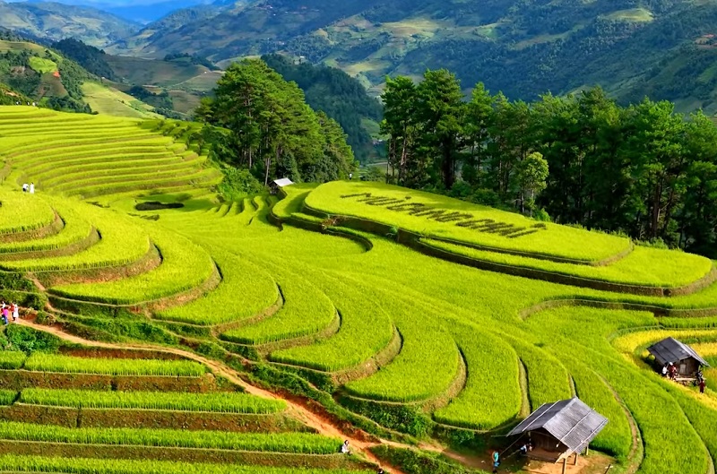 Việt Nam c&oacute; địa điểm lọt TOP "sắc m&agrave;u nhất thế giới&rdquo;: Người d&acirc;n l&agrave;m du lịch tr&ecirc;n&nbsp;853 ha ruộng bậc thang, MICHELIN cũng phải vinh danh- Ảnh 2.