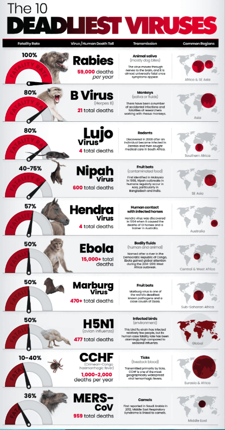 Xếp hạng: 10 loại virus nguy hiểm nhất thế giới theo tỷ lệ tử vong- Ảnh 1.