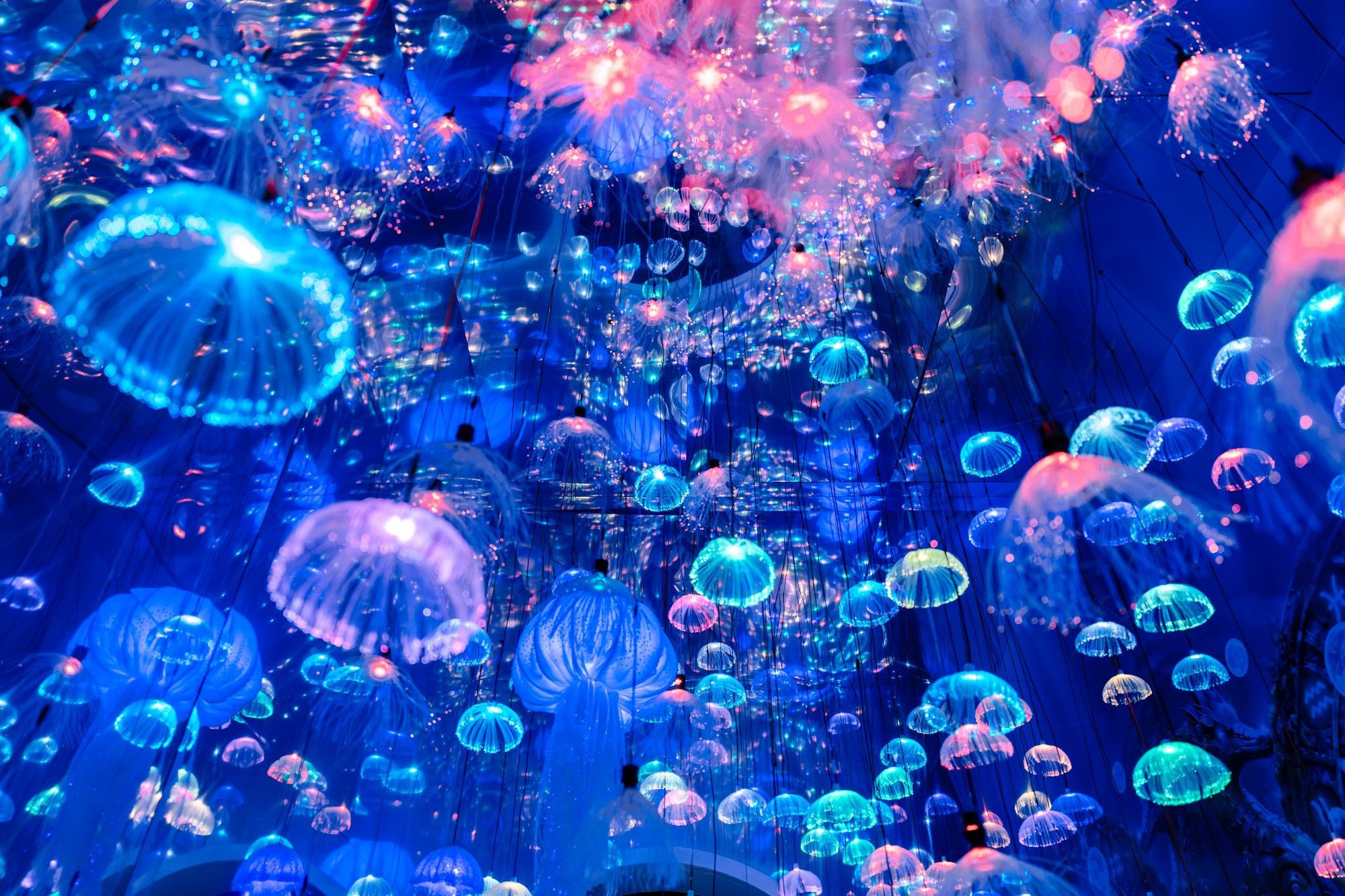 C&oacute; g&igrave; b&ecirc;n trong &ldquo;Si&ecirc;u du thuyền&rdquo; SACOMBANK Visa tại concert The Siren World Opens 2026? - Ảnh 11.