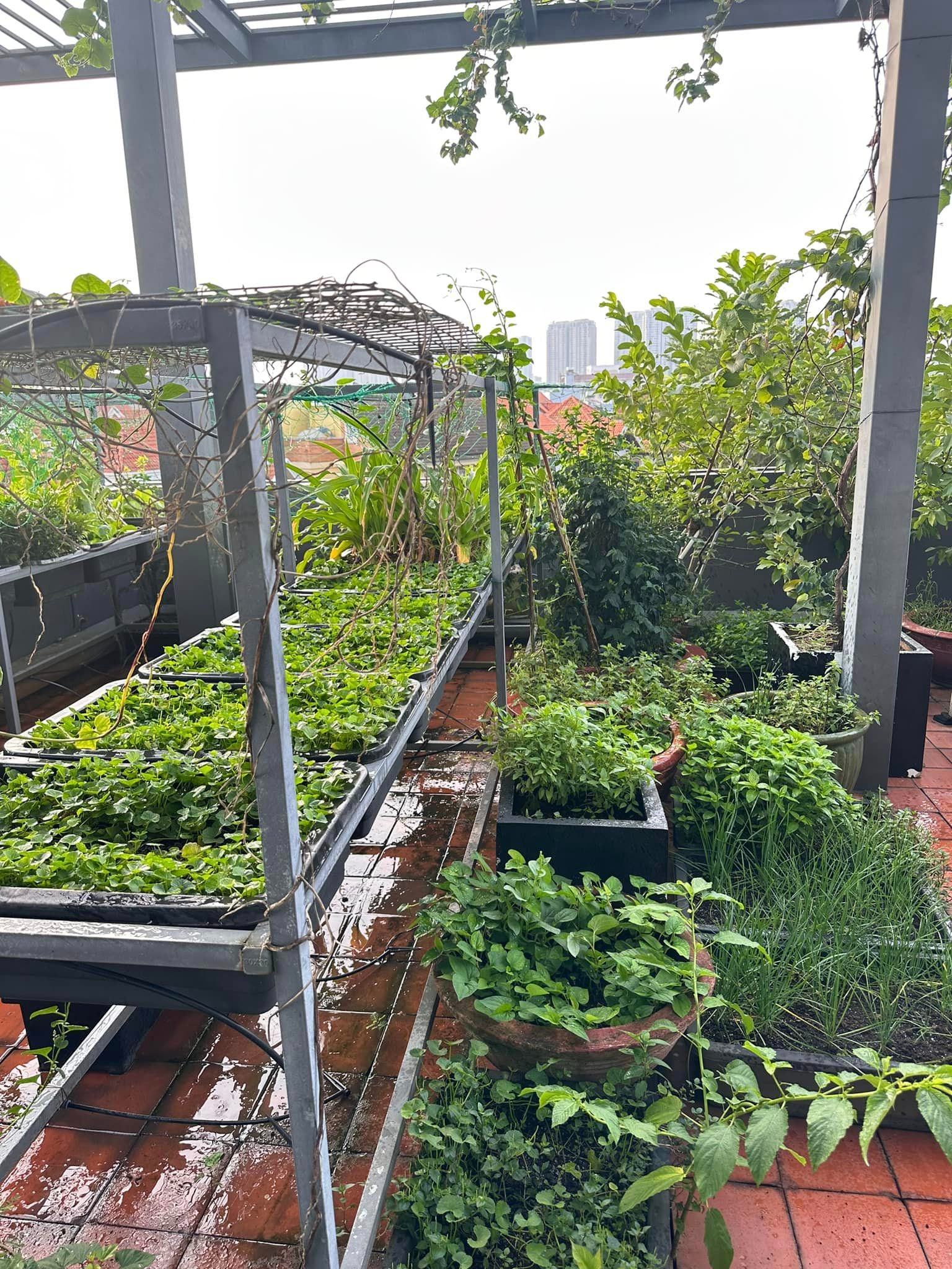 Mỹ nh&acirc;n Việt 33 tuổi l&agrave;m mẹ đơn th&acirc;n, sống c&ugrave;ng con trai trong ng&ocirc;i nh&agrave; phố 100m&sup2;- Ảnh 8.
