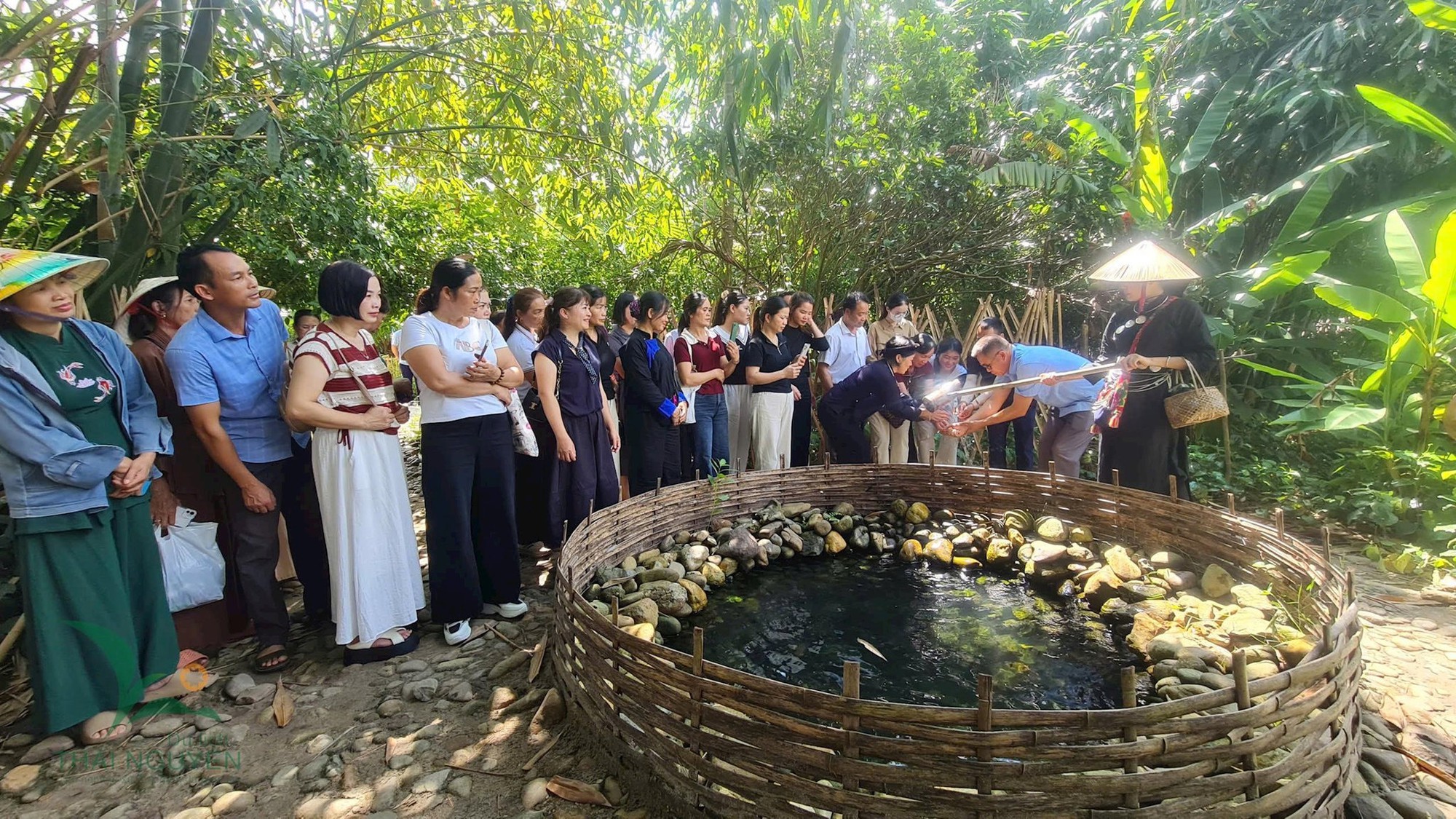 Việt Nam c&oacute; 1 ng&ocirc;i l&agrave;ng gần 200 người "ăn chung nồi cơm, ti&ecirc;u chung t&uacute;i tiền": Xanh m&aacute;t như ốc đảo, được c&ocirc;ng nhận "L&agrave;ng du lịch tốt nhất thế giới"- Ảnh 8.