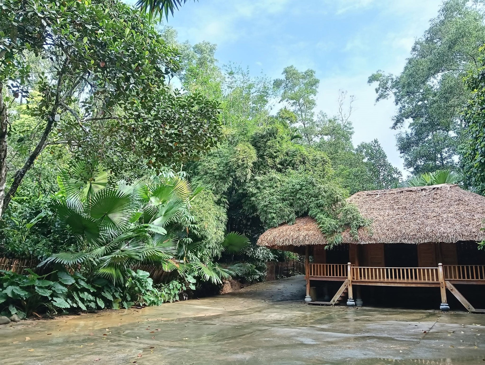 Việt Nam c&oacute; 1 ng&ocirc;i l&agrave;ng gần 200 người "ăn chung nồi cơm, ti&ecirc;u chung t&uacute;i tiền": Xanh m&aacute;t như ốc đảo, được c&ocirc;ng nhận "L&agrave;ng du lịch tốt nhất thế giới"- Ảnh 4.