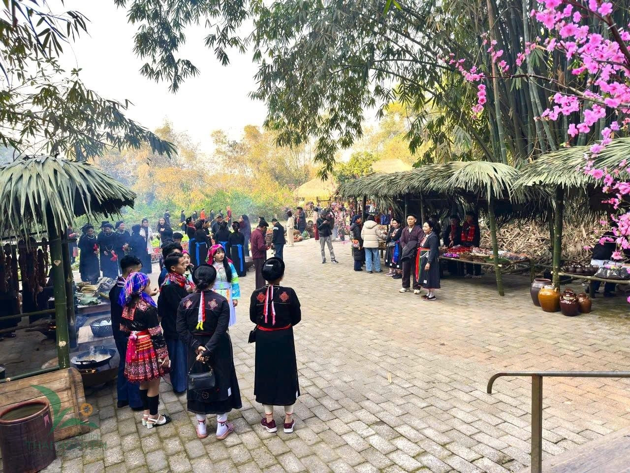 Việt Nam c&oacute; 1 ng&ocirc;i l&agrave;ng gần 200 người "ăn chung nồi cơm, ti&ecirc;u chung t&uacute;i tiền": Xanh m&aacute;t như ốc đảo, được c&ocirc;ng nhận "L&agrave;ng du lịch tốt nhất thế giới"- Ảnh 5.