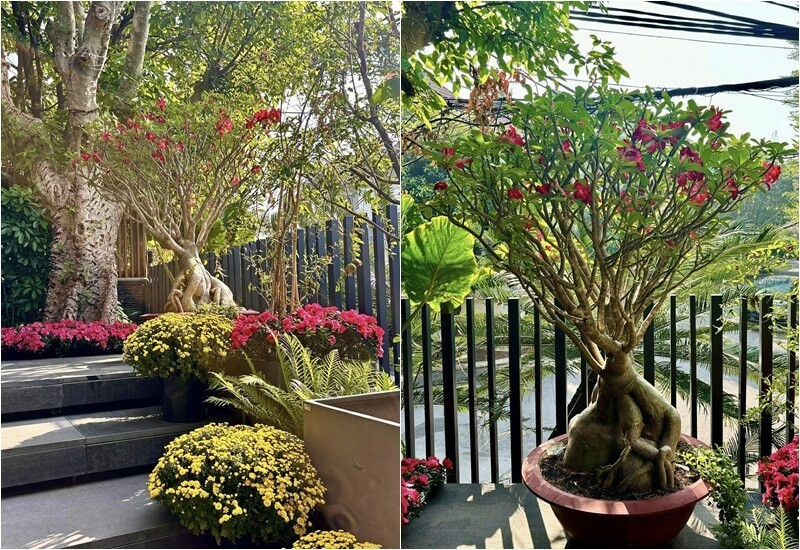 Mỹ nh&acirc;n Việt 33 tuổi l&agrave;m mẹ đơn th&acirc;n, sống c&ugrave;ng con trai trong ng&ocirc;i nh&agrave; phố 100m&sup2;- Ảnh 9.